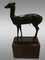 Young Deer in Patinated Bronze from Chiurazzi Napoli, 1890s 1