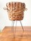 Woven Walnut Crust Holder Basket, Italy, 1970s 1