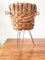 Woven Walnut Crust Holder Basket, Italy, 1970s, Image 1