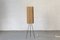 Tripod Floor Lamp in the style of J. Hurka, 1950s, Image 3