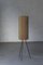 Tripod Floor Lamp in the style of J. Hurka, 1950s 2