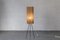 Tripod Floor Lamp in the style of J. Hurka, 1950s 13