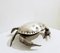 Coppa Crab Caviar in argento placcato, Spagna, anni '70, Immagine 3