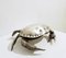 Crab Caviar Cup in Silver Plate, Spain, 1970s, Image 3