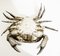 Crab Caviar Cup in Silver Plate, Spain, 1970s, Image 12