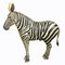 Wooden Carved Statue of a Zebra Hand Carved, Germany, 1930s 2