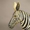 Wooden Carved Statue of a Zebra Hand Carved, Germany, 1930s 3