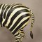 Wooden Carved Statue of a Zebra Hand Carved, Germany, 1930s 7