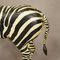 Wooden Carved Statue of a Zebra Hand Carved, Germany, 1930s, Image 7
