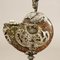 Antique Cretaceous Ammonite with Silver Mounting, Image 9