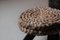 Small Brutalist Chair in Wood and Rye Straw, 1960, Image 4