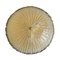 Italian Reeded Frosted Murano Glass Wall Light from Vistosi, Image 1