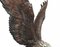 Estatua grande de bronce del águila dorada estadounidense, Imagen 3