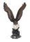 Estatua grande de bronce del águila dorada estadounidense, Imagen 11