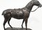 English Bronze Casting of Horse 5
