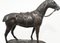 English Bronze Casting of Horse, Image 5