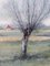 Winter Fields, 1950s, Oil on Canvas, Framed, Image 4