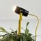 Gelbe Spotlight Pflanzenlampe von Stilnovo, 1980er 4