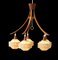 Fünfarmige Deckenlampe aus Teak mit gewickelten Lampenschirmen, 1960er 4