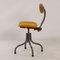 Ergonomic Doe Meer Chair from Tan-Sad, 1950s 6