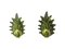 Barovier Olive Green Murano Glass Leaf & Brass Sconces, 2000, Set of 2 1