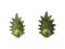 Barovier Olive Green Murano Glass Leaf & Brass Sconces, 2000, Set of 2, Image 1