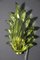 Barovier Olive Green Murano Glass Leaf & Brass Sconces, 2000, Set of 2, Image 9