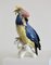 Life Size Parrot, 1935, Porcelain 1