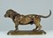 After Antoine-Louis Barye, Dachshund, 1800s, Bronze 14