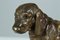 After Antoine-Louis Barye, Dachshund, 1800s, Bronze 8