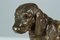 After Antoine-Louis Barye, Dachshund, 1800s, Bronze, Image 8