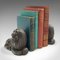 English Lion Bookends in Cast Iron, 1880s, Set of 2, Image 12