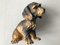 Porcelain Dog Figurine by Ak Kaiser, 1970s 12