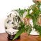 Vintage Porcelain Egg with African Safari Animal Style Decoration, 1970s, Image 2