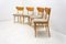 Mid-Century Dining Chairs, Czechoslovakia, 1960s, Set of 4 6