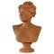 Busto di donna in terracotta di Ceribelli, Immagine 1
