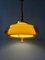Vintage Space Age Pendant Light from Herda, 1970s, Image 2