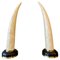 Tessellated Marble Faux Tusks, 1980s, Set of 2 1