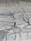 Schwedischer Künstler, Schneefall, 1950er, Öl auf Leinwand, Gerahmt 8
