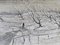 Schwedischer Künstler, Schneefall, 1950er, Öl auf Leinwand, Gerahmt 7