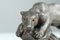 Antique Zinc Casting Panther Sculpture, 1880s 2