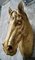 Vintage French Butchers Horse Head Trade Sign, 1930s 4