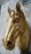 Vintage French Butchers Horse Head Trade Sign, 1930s, Image 4