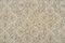 Bohemian Soft Neutral Faded Area Rug 4