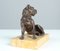 Antique Bronze Bulldog, Late 19th Century 6