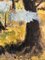 René Grossen, Paysage de Toscane, Olio su tela, Con cornice, Immagine 3