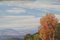 Sir Herbert Hughes-Stanton, Impressionistische Landschaft mit Figur, 1930, Öl auf Leinwand, Gerahmt 5