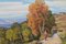 Sir Herbert Hughes-Stanton, Impressionistische Landschaft mit Figur, 1930, Öl auf Leinwand, Gerahmt 4