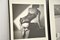 Jeanloup Sieff, Fotografie in bianco e nero di donne, 1980, Stampe d'arte, con cornice, set di 2, Immagine 4