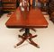 19th Century Regency Dining Table & Dining Chairs, Set of 11 11